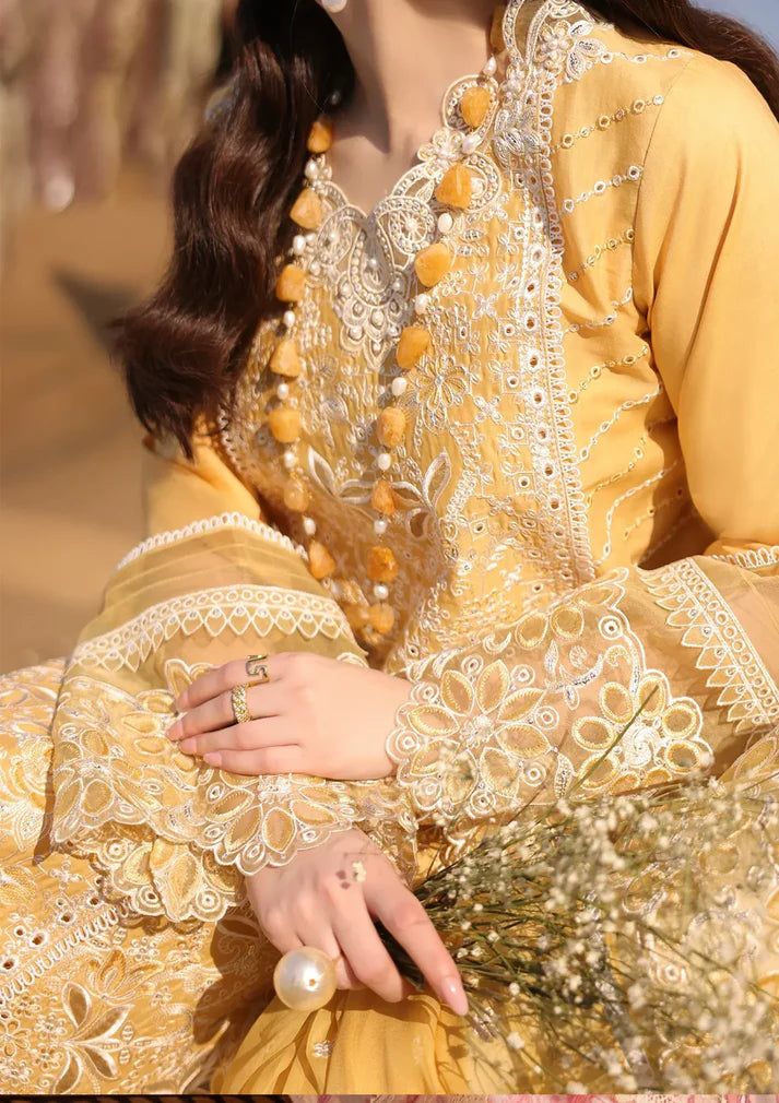 Qalamkar - Summer 3PC Chikenkari Emb Lawn Suit -AC0193