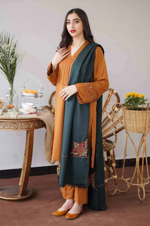 AISLING Winter 3pcs Embroidered Dhanak Suite -AC0689