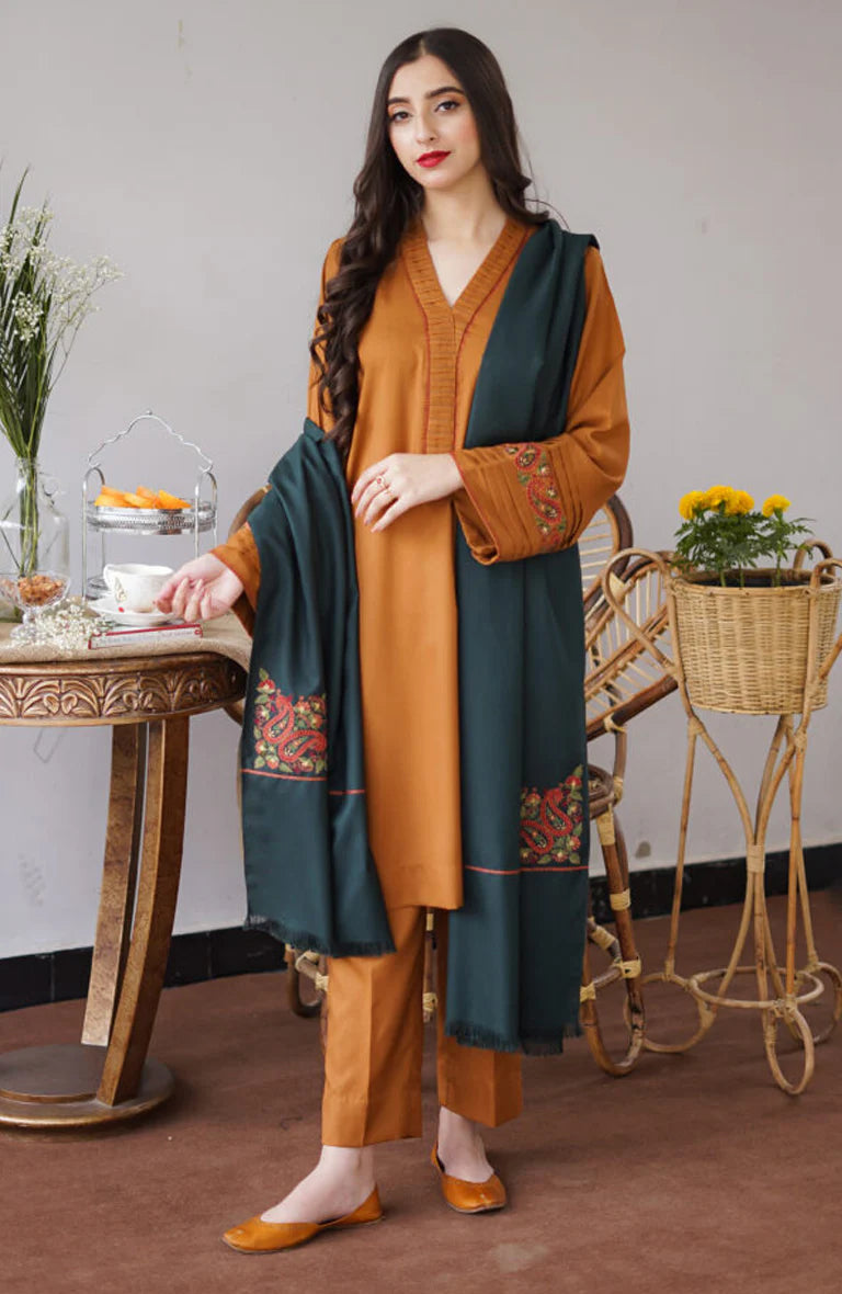 AISLING Winter 3pcs Embroidered Dhanak Suite -AC0689