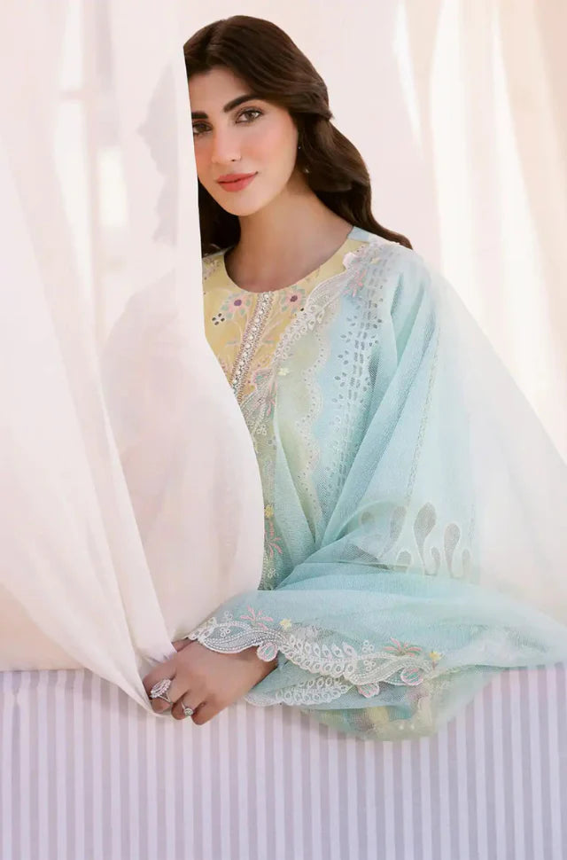 BIN ILYAS - Summer 3PC Lawn Chikenkari Embroidered Suit - AC0208